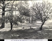 Photo only available in the library